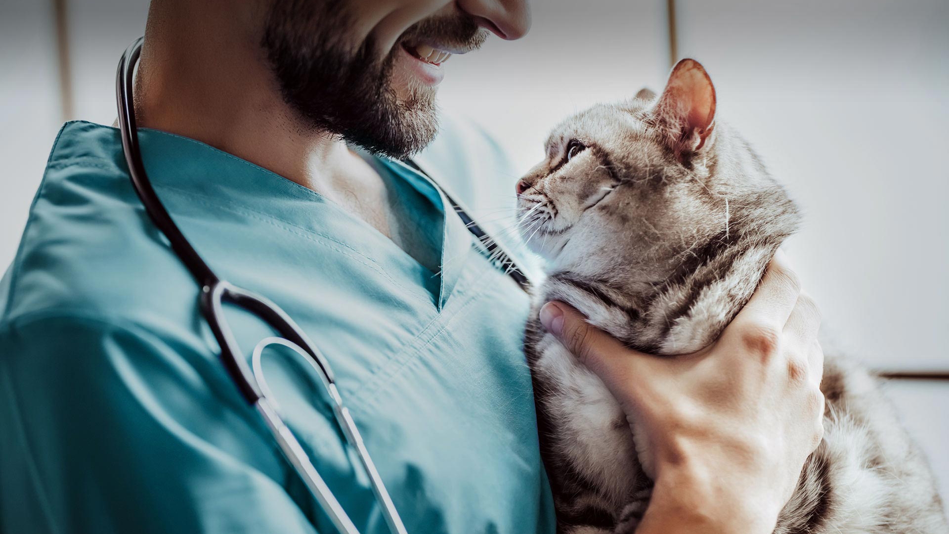 Hacıbektaş Veteriner